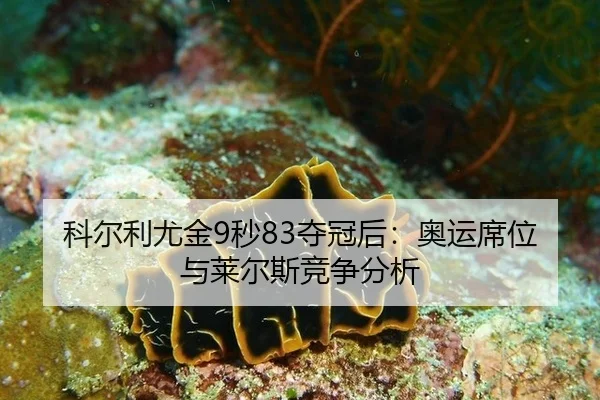 科尔利尤金9秒83夺冠后：奥运席位与莱尔斯竞争分析